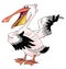 Funny pink Pelican beak singing actor paws