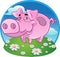 Funny pink pig on color background