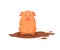 Funny Pink Pig in Dirty Puddle Vector Illustration