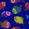 Funny pink, red, yellow and green fishes