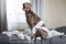 Funny pointer dog playing with toilet paper