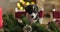 Funny portrait of a cute smiling puppy sitting on a table in a Christmas decorated room
