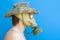 Funny portrait of man with gas mask and hat