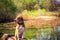 Funny portrait of pure breed beagle dog seated at trunk lakeside. Big ears listening or hear concept. Beagle close up face smiling