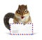 Funny postman chipmunk with air mail letter