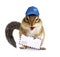 Funny postman chipmunk with air mail letter