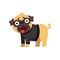 Funny pug dog character dressed as robber, funny dog in black mask vector Illustration on a white background