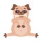 Funny Pug Dog Character with Wrinkly Face Sitting with Bone in Mouth Vector Illustration