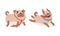 Funny Pug Dog with Curled Tail and Light Brown Coat Running with Stick Out Tongue Vector Set