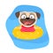 Funny pug dog swimming in swim pool. Vector cartoon illustration for print