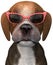 Funny Puppy Dog Sunglasses Isolated