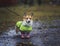 Funny puppy a red haired Corgi dog stands on a walk on a leash in rubber boots and a raincoat on an autumn rainy day and smiles