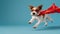 Funny puppy in superhero costume looks ahead on blue background, like flying superhero dog