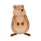 Funny Quokka as Short-tailed Scrub Wallaby with Rounded Ears Standing and Smiling Vector Illustration