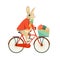 Funny Rabbit Bunny ride Bicycle with Easter Eggs