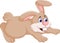 Funny rabbit cartoon jumping