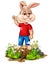 Funny Rabbit on Wood Tree With Rock And White Ivy Flower Cartoon