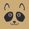 Funny raccon face on brown background. Vector