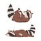 Funny Raccoon with Striped Tail Rolling on Its Back and Lying Vector Set
