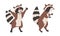 Funny Raccoon with Striped Tail Standing and Stealing Vector Set