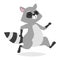 Funny raccoon vector illustration.