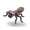 Funny realistic ant, top view. Insect in children style. Vector character with many legs