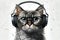 Funny realistic cat wearing big retro headphones