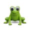 Funny realistic frog, front view. Amphibian animal with comical face