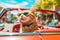 Funny Red Cat in Convertible Sunny. Generative AI