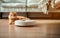 Funny red cat relaxed on the wooden floor. Ginger cat lying on the floor at home with robot vacuum cleaner. Animal at