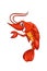 A funny red shrimp blue eyed design animal cartoon