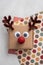 Funny reindeer gift box