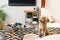 funny retriever dog sitting on carpet