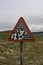 Funny road sign cow warning