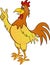 Funny rooster cartoon