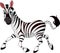 Funny running Zebra