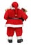 Funny Santa Claus doll with presents back view