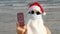 Funny santa claus, in a protective mask. Santa, in sunglasses, holds smartphone with COVID-19 icon, text - pandemic, on