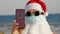 Funny santa claus, in a protective mask. Santa, in sunglasses, holds smartphone with COVID-19 icon, text - quarantine