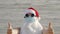 Funny santa claus, in a protective mask. Santa, in sunglasses, sunbathing on the beach by the sea, relaxing. santa claus