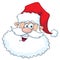 Funny santa head