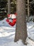 Funny Santa peeks out of the winter forest.