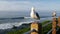 Funny sea gull birds on railings. Seagulls and green pigface sour fig succulent, pacific ocean splashing waves. Ice plant greenery