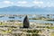 Funny sea lion standing on rock seacoast