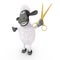 Funny sheep hairdresser