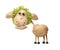 Funny sheep made of potatoes and salad