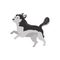 Funny Siberian husky running and jumping, cartoon flat vector illustration isolated on white background.