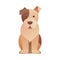 Funny sitting dog icon in cartoon style.