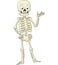 Funny skeleton presenting