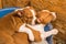 Funny small babies two Basenji puppies dogs are sleeping